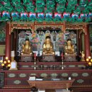 대구 보현사 목조여래좌상 | 영광 연흥사 목조삼세여래좌상(靈光 烟興寺 木造三世如來坐像).전남