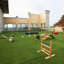 영무파라드 해수온천(글로리비치) 이미지