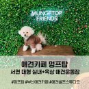 멍프탑 이미지