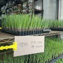 동원종묘농약사 이미지