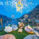 쁘띠독애견펜션 이미지