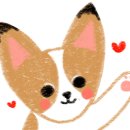 터틀크루
