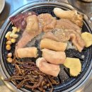 6253 | 부산 남포 자갈치 양곱창골목 홍가네양곱창 내돈내산 후기