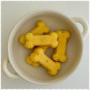 정성스럽개 | 울산고양이케이크 울산 반려동물 간식 전문점 '정성스럽개' 방문 후기