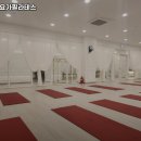 비오스요가필라테스