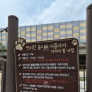 물빛찬 | 강아지랑 가볼만한곳, 호매실동 반려견 놀이터 (금곡동위치)