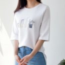 안스자수 이미지