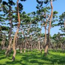 황성공원 시민운동장 이미지