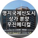 명지국제신도시 상가분양 우진메디컬프라자 메인사거리에 접한 위치 이미지