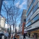 현대아파트(1차) | 송파구재건축 가락동재건축 문정동가락현대1차아파트 임장 후기