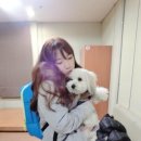 뽀뽀카롱 이미지
