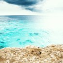 리올란트치과의원 이미지