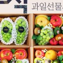 낭만과일