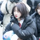 우리댕 이미지