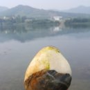 충주 오석리 이미지