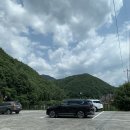 소나무5830