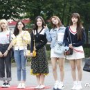비타민팡팡