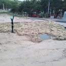 산대월리 이미지