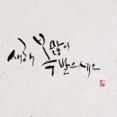 눈이편한안경원 이미지