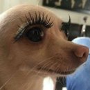 민언니 | 신혼여행 준비 시작 (팜투어, 투어민 후기)