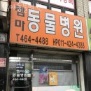 젬마동물병원 네이버블로그