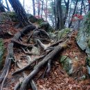 황골공원 이미지