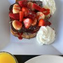 마이애미오렌지 이미지