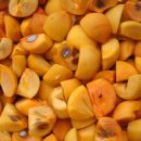 선바우농장 이미지