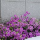 동아당한약방 이미지