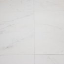 강아지공간 이미지