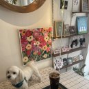 하이홉(hihope) 이미지