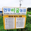 황동대 Daum카페