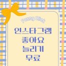 클릭 클릭 | 인스타그램 좋아요 늘리기 무료 퍼니클릭 성과 후기