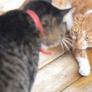 보현농장 이미지