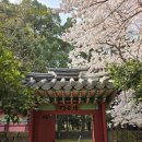 신상근린공원 이미지