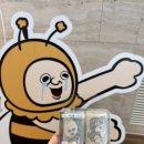 설레인네일