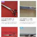가위닥터사사끼가위 이미지