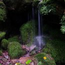 계곡이 있는 풍경 이미지