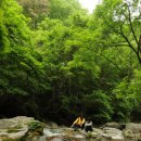 호호탕탕 이미지