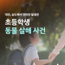 대전, 송도에서 잇따라 발생한 초등학생 동물 살해 사건 이미지
