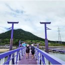 퍼플여행 이미지