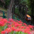 구미에코랜드 이미지