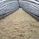 하은이네 농장 이미지