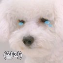 없음 이미지