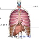 리버샷 복싱 이미지
