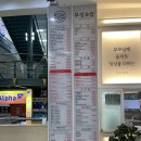 분당 서현맛집 혼밥하기 좋은 부성초밥 런치메뉴 후기