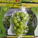 인암농원 이미지