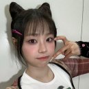 앨범헤어 네이버블로그