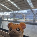 랑돌 이미지