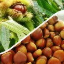 쌍백농장 이미지